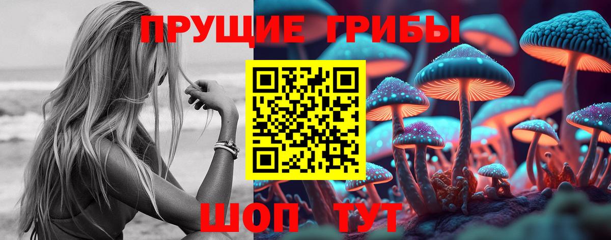 Псилоцибиновые грибы мицелий Шарыпово